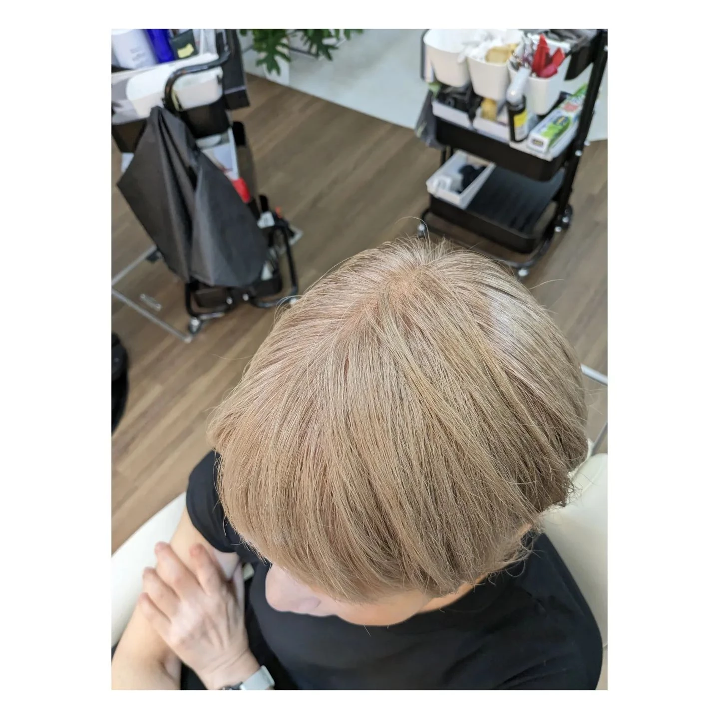 画像409