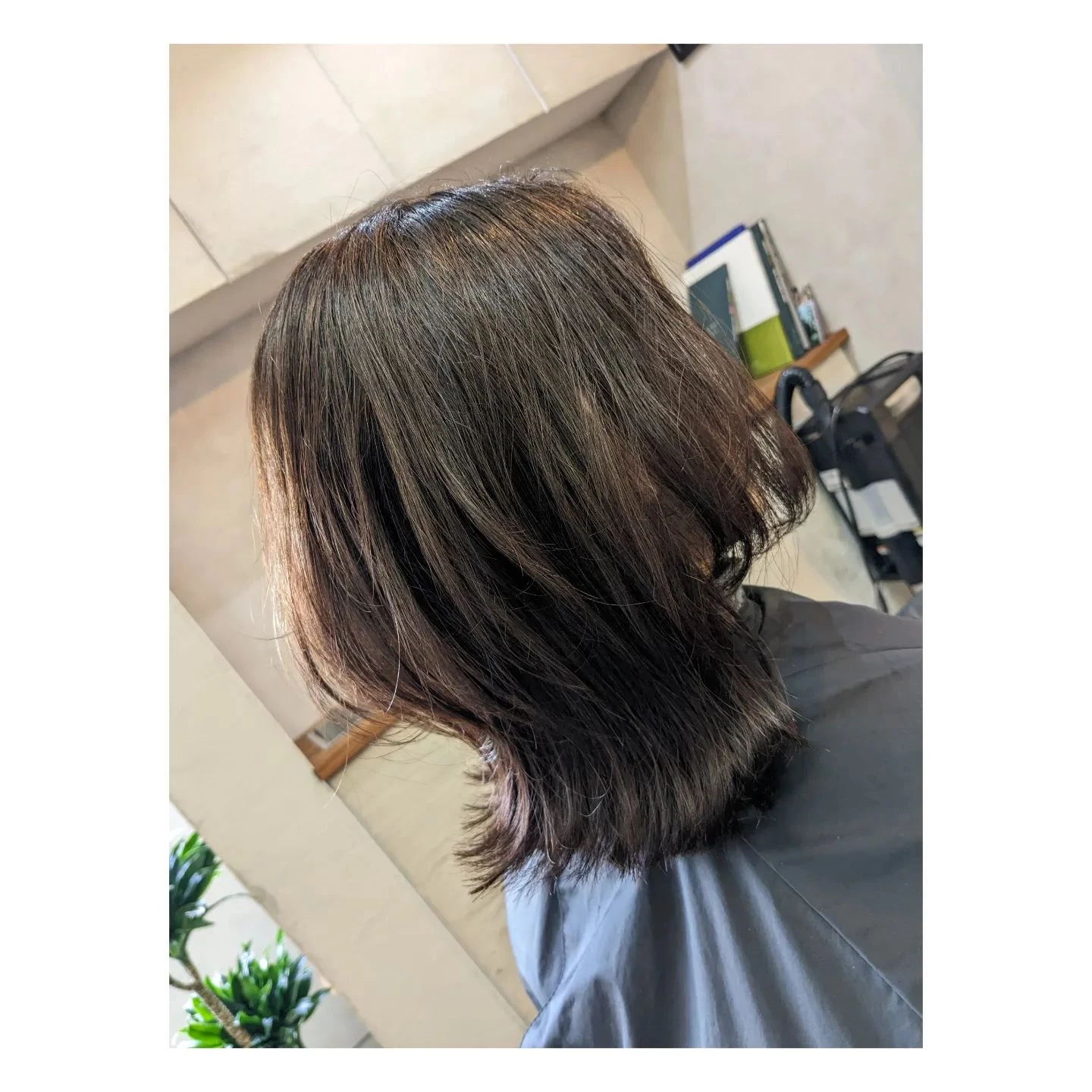 画像445